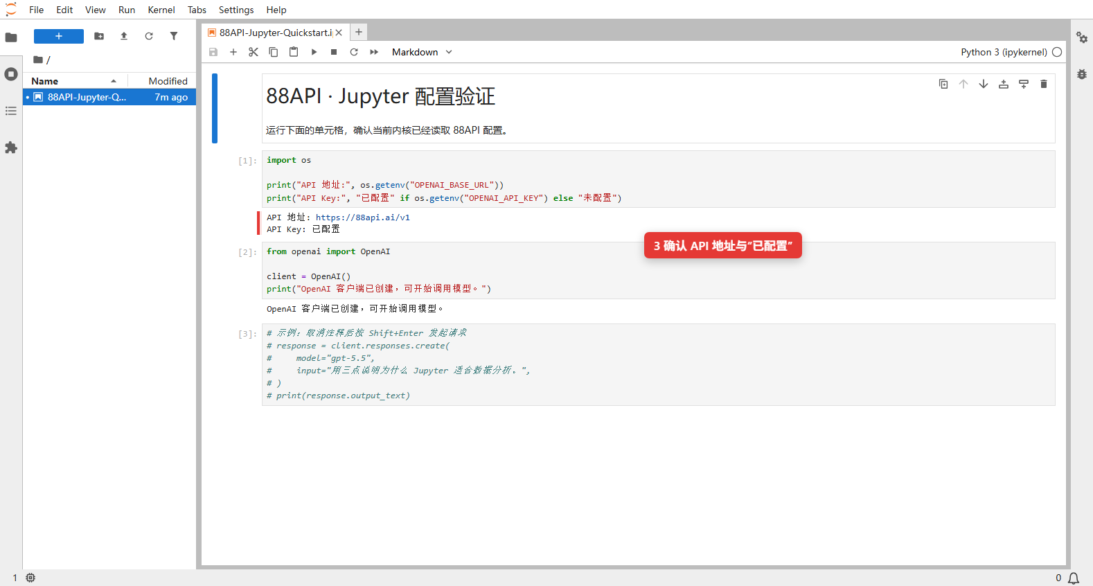 在真实 JupyterLab 内核中验证 88API 地址和 API Key 状态