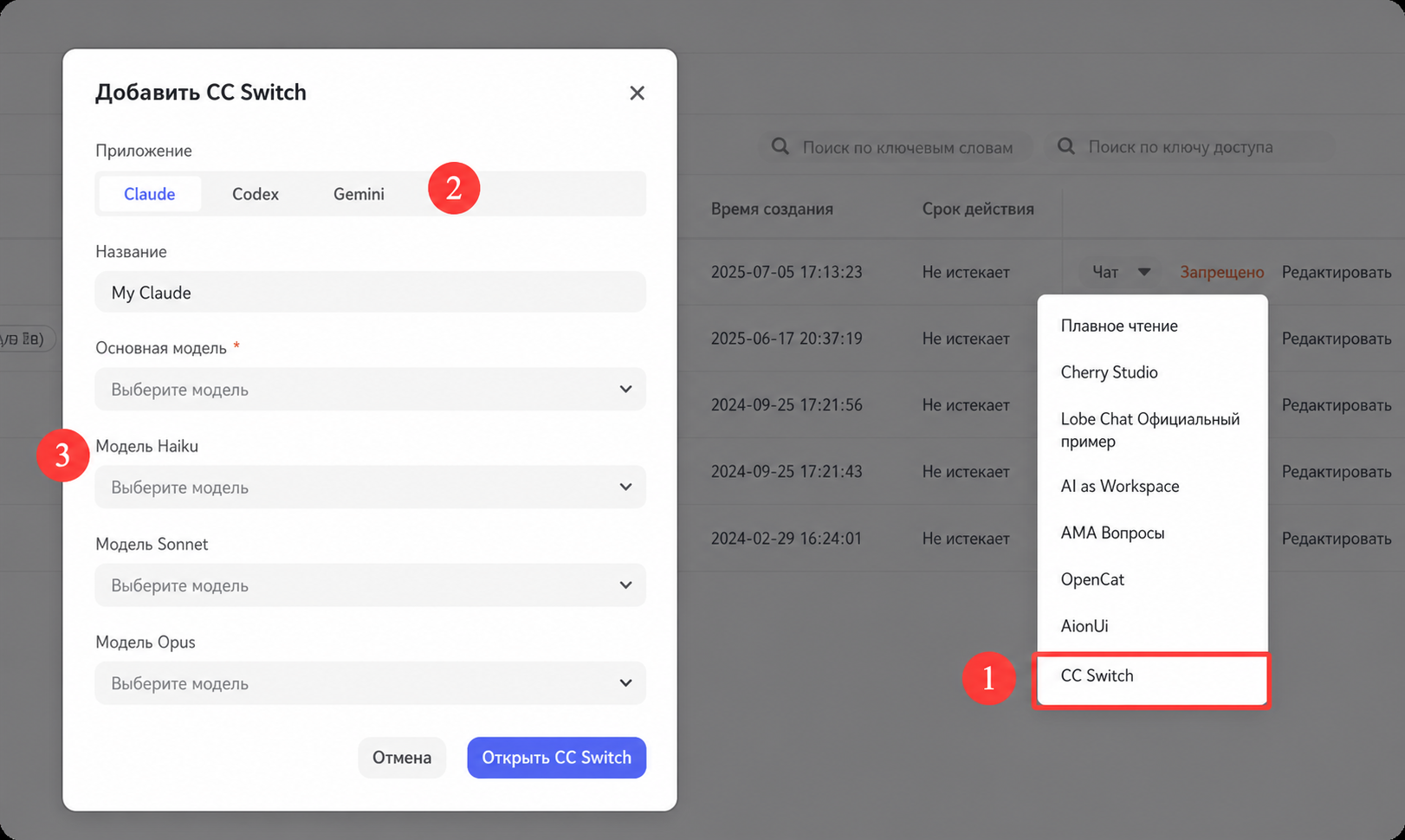 Заполните всплывающее окно CC Switch